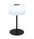 Trenton Cylindrical Table Lamp Matt Black Opal Alabaster Optic Glass Shade LED 2700-4000K-5