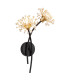 Fiore Wall Lamp Matt Black 2x G9-1