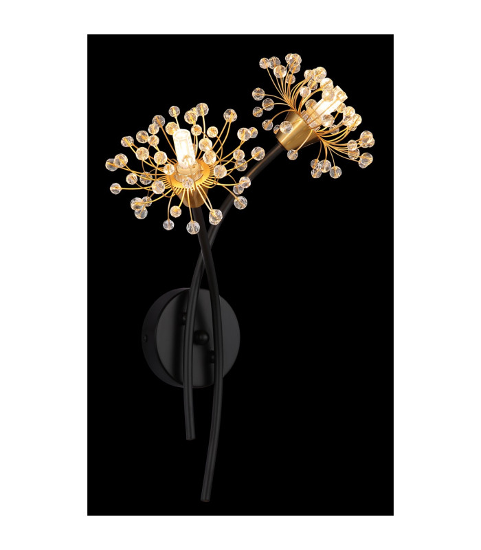 Fiore Wall Lamp Matt Black 2x G9-4
