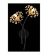 Fiore Wall Lamp Matt Black 2x G9-5