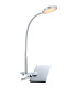Pegasi Clamp & Clip On Lamp Chrome LED 3000K-1