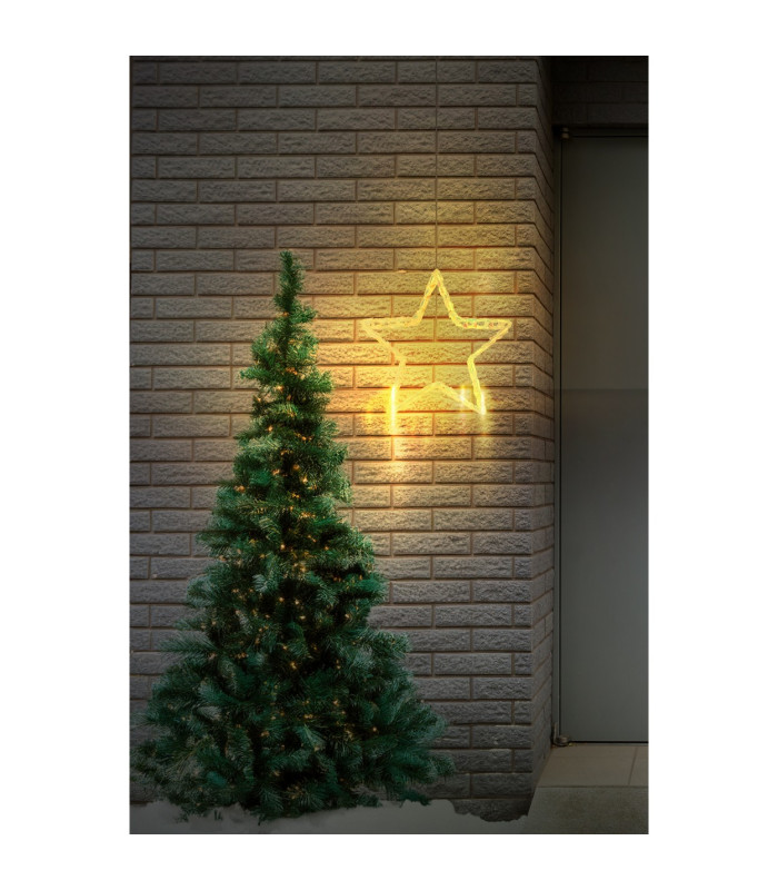 Stara Table Lamp Clear IP44 100x LED 3180K-11