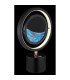 Reedi Integrated LED Table Lamp Matt Black LED 2700-4000K Touch Dimmer-5