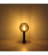 Hedwig Globe Wall Lights Stainless Steel IP44 Glass Shade 1x E27-6