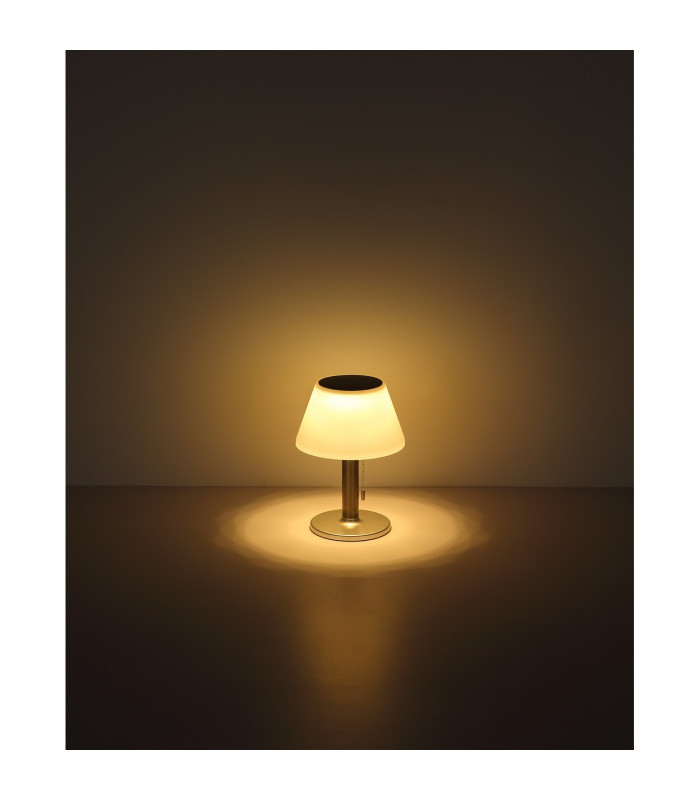 Solarleuchte Outdoor Lighting Stainless Steel IP44 10x LED 2800K-4