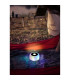 Solarleuchte Outdoor Portable Lamp Green IP65 1x RGB LED 4300K-15