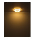 Astania Decorative Flush Ceiling Light White Center Tunnel Effect Crystal Sand LED 3000K-6