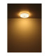 Astania Decorative Flush Ceiling Light White LED 3000K-4
