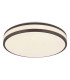Betha Flush Ceiling Light White LED Dimmable 2700-6000K Remote Control-1