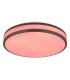 Betha Flush Ceiling Light White LED Dimmable 2700-6000K Remote Control-6