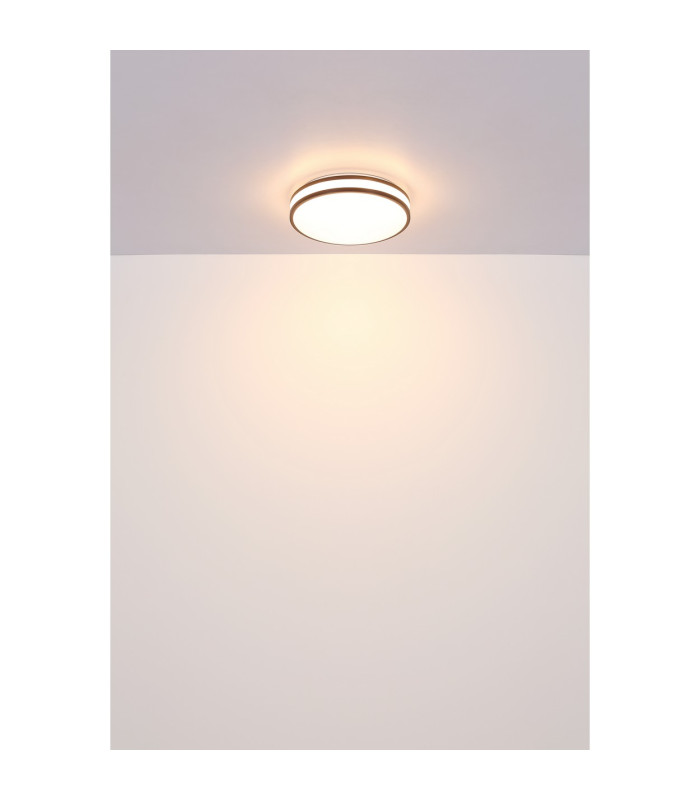 Betha Flush Ceiling Light White LED Dimmable 2700-6000K Remote Control-9