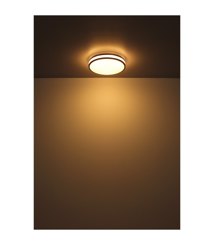 Betha Flush Ceiling Light White LED Dimmable 2700-6000K Remote Control-13
