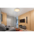 Ronja Decorative Flush Ceiling Light White LED Dimmable 2700-6500K Remote Control-6