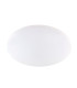 Sajama I Decorative Flush Ceiling Light White LED Dimmable 3000-6500K Remote Control Timer Tuya Smart-2