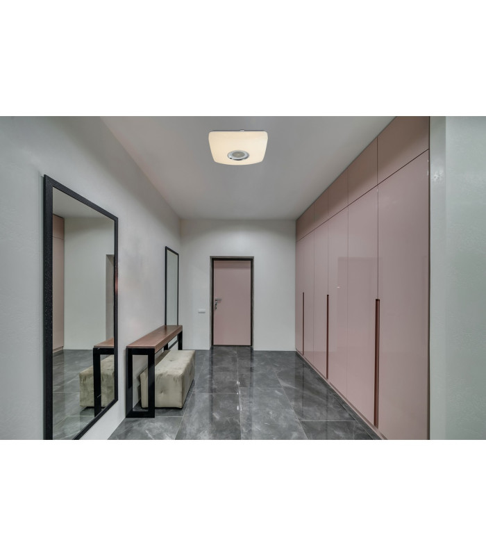 Ayleen Flush Ceiling Light White 1x RGBW LED Dimmable 3000-6000K Remote Control-12