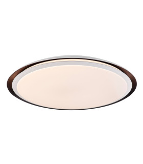 Xaver Decorative Flush Ceiling Light White 1x RGB LED Dimmable 3000-6500K Remote Control Timer Tuya Smart-1