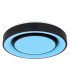 Sully Decorative Flush Ceiling Light Black LED Dimmable 3000-6500K Remote Control-8