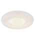 Burro Decorative Flush Ceiling Light White LED Dimmable 2700-6500K Remote Control-1