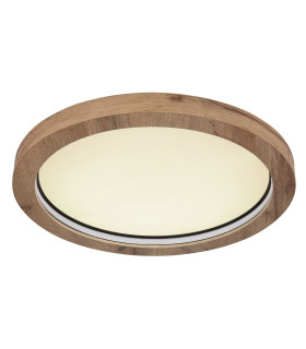 Branza Decorative Flush Ceiling Light Matt Black LED Dimmable 2700-6000K Remote Control-1