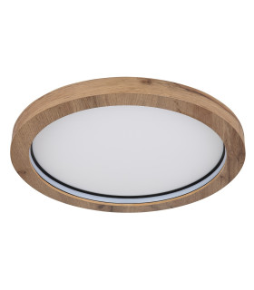 Branza Decorative Flush Ceiling Light Matt Black LED Dimmable 2700-6000K Remote Control-2