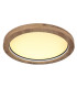 Branza Decorative Flush Ceiling Light Matt Black LED Dimmable 2700-6000K Remote Control-4