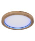 Branza Decorative Flush Ceiling Light Matt Black LED Dimmable 2700-6000K Remote Control-8
