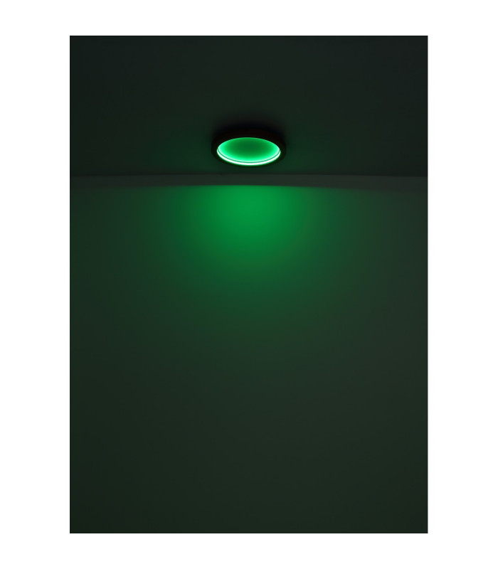 Branza Decorative Flush Ceiling Light Matt Black LED Dimmable 2700-6000K Remote Control-11