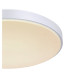 Sonny 41cm Flush Ceiling Light White LED Dimmable 2700-6500K Remote Control-4