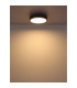 Doro 30cm Flush Ceiling Light Silver Colored LED 3000K-4
