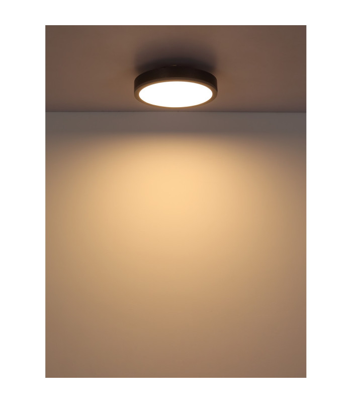 Doro 30cm Flush Ceiling Light Silver Colored LED 3000K-4