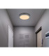 Doro 30cm Flush Ceiling Light Silver Colored LED 3000K-5