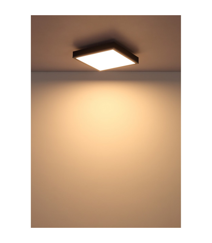 Doro 30cm Flush Ceiling Light Silver Colored LED 3000K-5