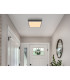 Doro 30cm Flush Ceiling Light Silver Colored LED 3000K-6