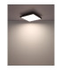 Doro 45cm Flush Ceiling Light Silver Colored LED Dimmable 2700-6500K Remote Control Timer-7