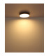 Doro 45cm Flush Ceiling Light Silver Colored LED 3000K-4