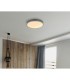 Doro 45cm Flush Ceiling Light Silver Colored LED 3000K-6