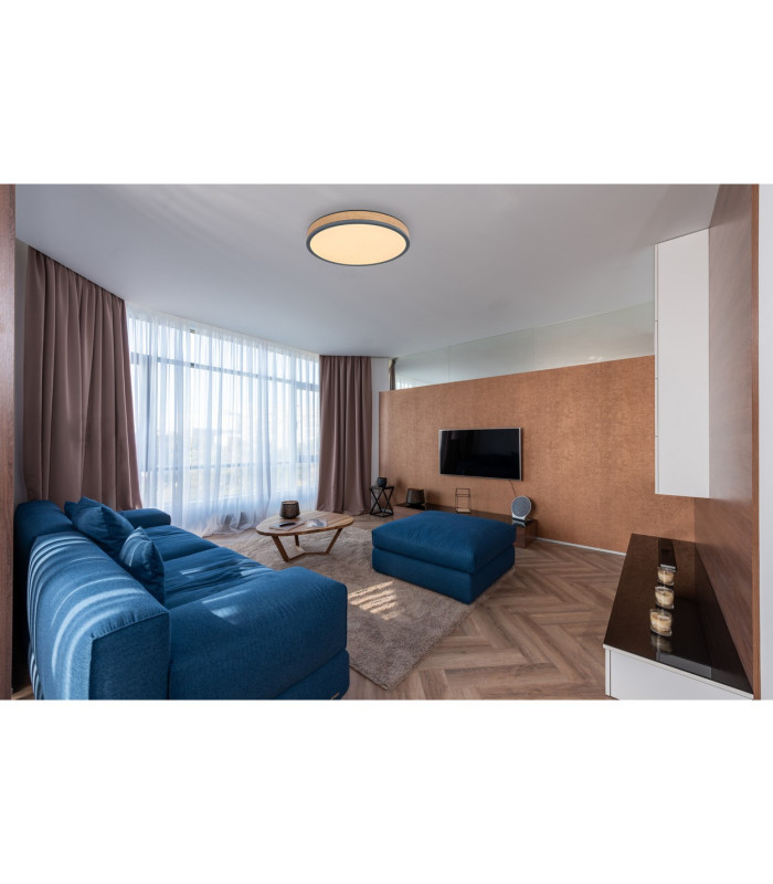 Doro 45cm Flush Ceiling Light Graphite LED Dimmable 2700-6500K Remote Control Timer-11