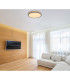 Doro 45cm Flush Ceiling Light Graphite LED Dimmable 2700-6500K Remote Control Timer-12