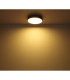 Doro 45cm Flush Ceiling Light Graphite LED 3000K-5