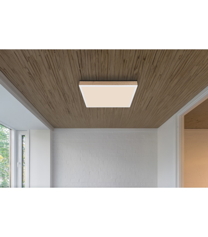 Doro Flush Ceiling Light White LED Dimmable 2700-6500K Remote Control Timer-12