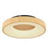 Jolli Integrated LED Semi Flush Ceiling Light Black LED Dimmable 2700-6000K Remote Control-1