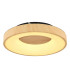 Jolli Integrated LED Semi Flush Ceiling Light Black LED Dimmable 2700-6000K Remote Control-5