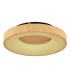 Jolli Integrated LED Semi Flush Ceiling Light Black LED Dimmable 2700-6000K Remote Control-12