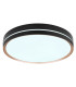 Manni 48.5cm Integrated LED Semi Flush Ceiling Light Black LED Dimmable 2700-6500K Remote Control-7