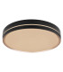 Manni 48.5cm Integrated LED Semi Flush Ceiling Light Black LED Dimmable 2700-6500K Remote Control-10