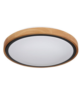 Bruno 31cm Outdoor Decorative Flush Matt Black LED 3000-6000K-2