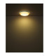 Lazaro Integrated LED Semi Flush Ceiling Light Amber LED 2700-6000K-7