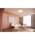 Lazaro Integrated LED Semi Flush Ceiling Light Amber LED 2700-6000K-10