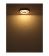 Jayden 48cm Integrated LED Semi Flush Ceiling Light Anthracite Brushed LED 3000K-4