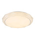 Andi Decorative Flush Ceiling Light White 1x RGB LED Dimmable 3000-6500K Remote Control-1